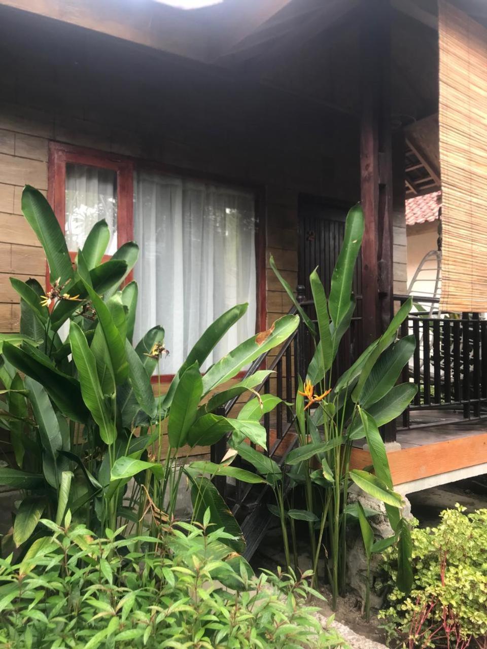 Zifa Mandalika Apartamento Kuta  Exterior foto
