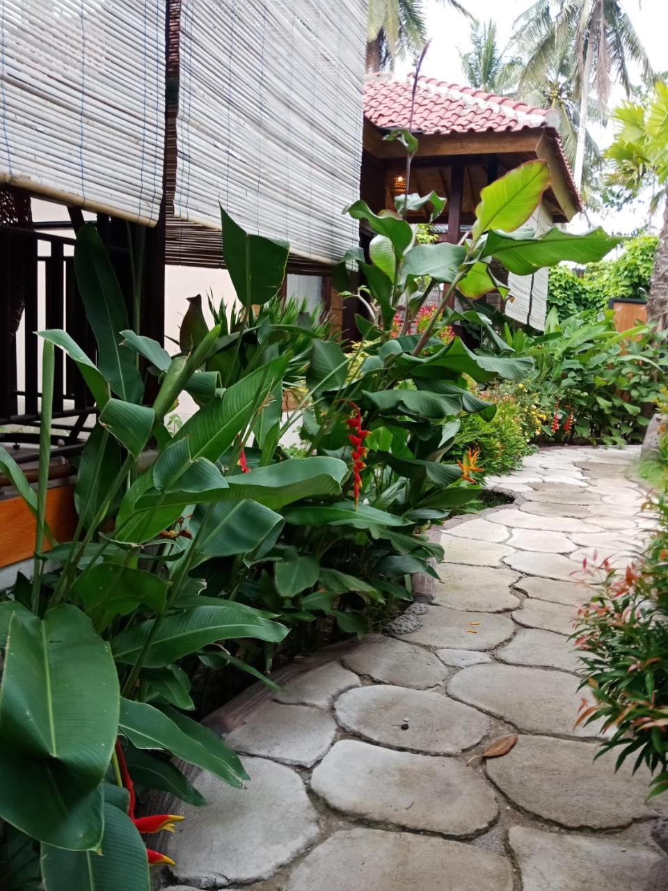 Zifa Mandalika Apartamento Kuta  Exterior foto